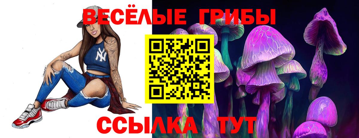 Псилоцибиновые грибы GOLDEN TEACHER Коряжма