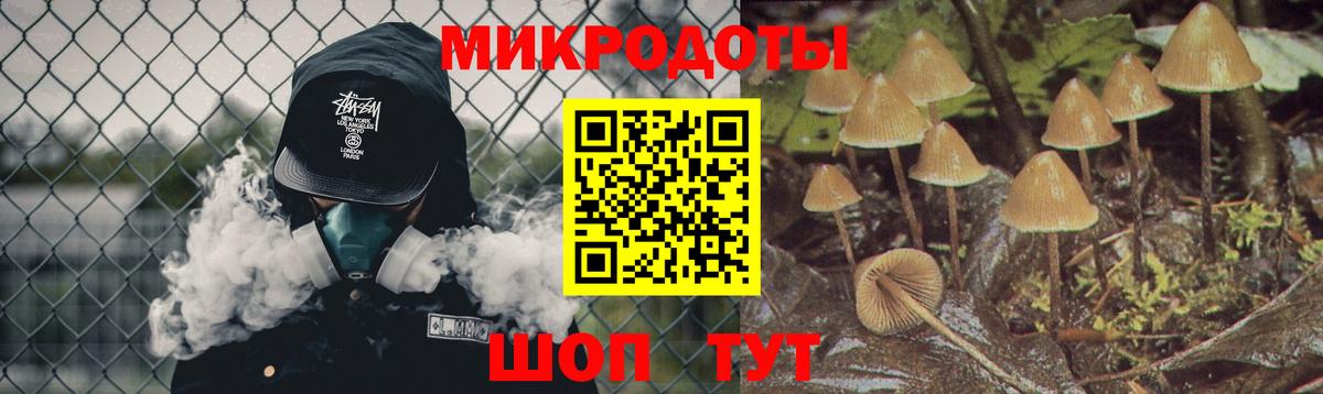 где купить наркоту  Галлюциногенные грибы Magic Shrooms  Вход с VPN  Коряжма 
